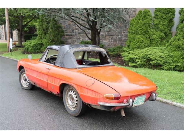 1966 Alfa Romeo Duetto (CC-1873808) for sale in Astoria, New York
