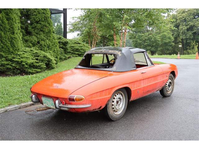 1966 Alfa Romeo Duetto (CC-1873808) for sale in Astoria, New York