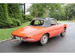 1966 Alfa Romeo Duetto (CC-1873808) for sale in Astoria, New York