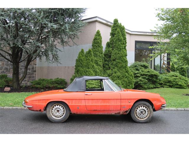 1966 Alfa Romeo Duetto (CC-1873808) for sale in Astoria, New York