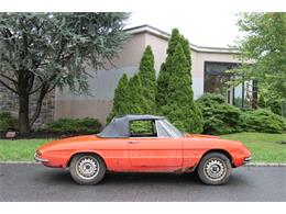 1966 Alfa Romeo Duetto (CC-1873808) for sale in Astoria, New York