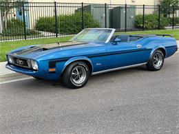 1973 Ford Mustang (CC-1870384) for sale in Cave Creek, Arizona