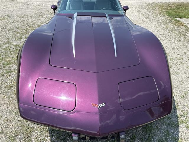 1977 Chevrolet Corvette for Sale | ClassicCars.com | CC-1874082
