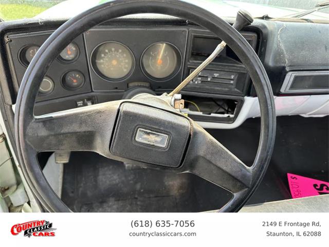 1979 Chevrolet C20 (CC-1874162) for sale in Staunton, Illinois