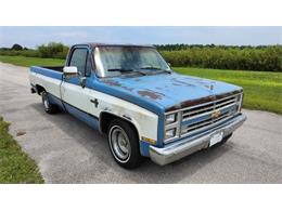 1985 Chevrolet C10 (CC-1874545) for sale in Cadillac, Michigan