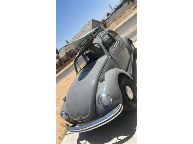 1971 Volkswagen Beetle (CC-1874549) for sale in Cadillac, Michigan