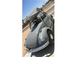 1971 Volkswagen Beetle (CC-1874549) for sale in Cadillac, Michigan