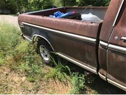 1977 Ford F150 (CC-1874556) for sale in Cadillac, Michigan