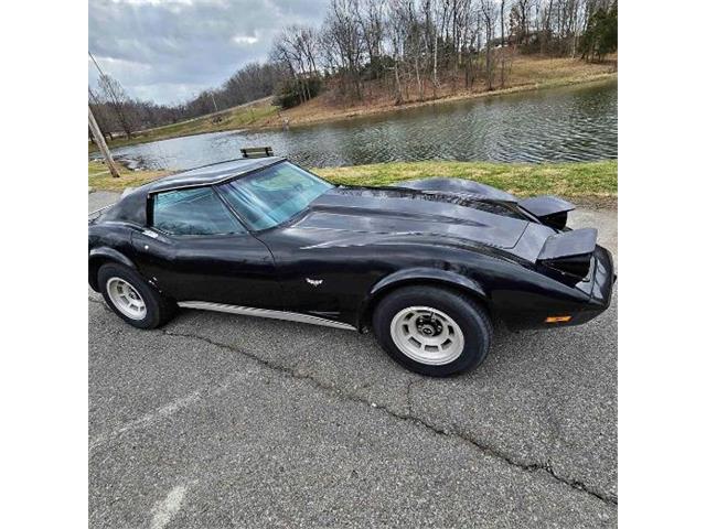 1977 Chevrolet Corvette (CC-1874604) for sale in Cadillac, Michigan