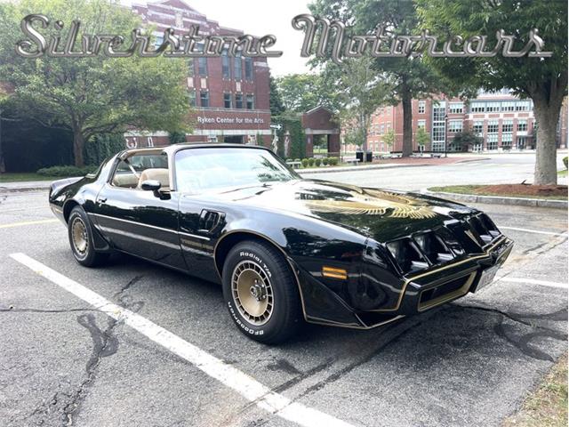 1981 Pontiac Firebird Trans Am (CC-1874900) for sale in North Andover, Massachusetts