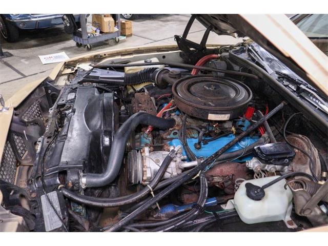 1978 Chevrolet Monte Carlo (CC-1875198) for sale in Kentwood, Michigan
