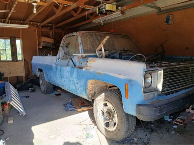 1977 Chevrolet C20 (CC-1875264) for sale in Cadillac, Michigan