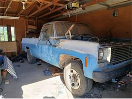 1977 Chevrolet C20 (CC-1875264) for sale in Cadillac, Michigan