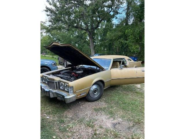 1973 Ford Thunderbird (CC-1875808) for sale in Cadillac, Michigan