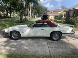 1993 Jaguar XJS (CC-1876384) for sale in Lakeland, Florida