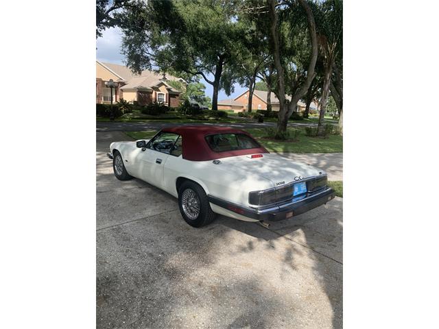 1993 Jaguar XJS (CC-1876384) for sale in Lakeland, Florida