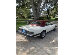 1993 Jaguar XJS (CC-1876384) for sale in Lakeland, Florida