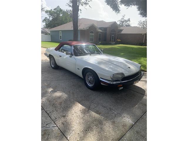1993 Jaguar XJS (CC-1876384) for sale in Lakeland, Florida