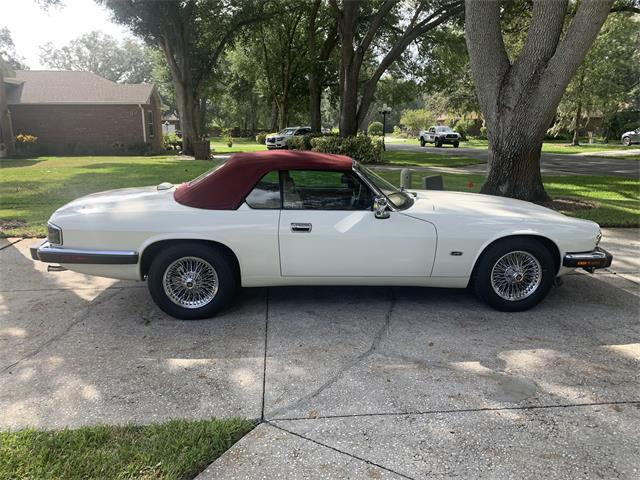 1993 Jaguar XJS (CC-1876384) for sale in Lakeland, Florida