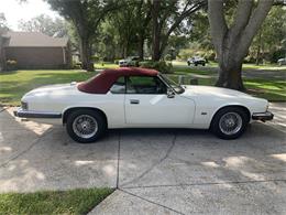 1993 Jaguar XJS (CC-1876384) for sale in Lakeland, Florida