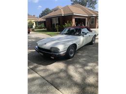 1993 Jaguar XJS (CC-1876384) for sale in Lakeland, Florida