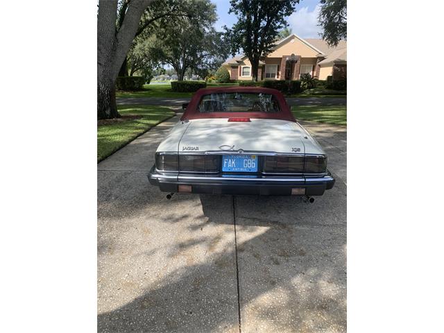 1993 Jaguar XJS (CC-1876384) for sale in Lakeland, Florida