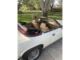 1993 Jaguar XJS (CC-1876384) for sale in Lakeland, Florida