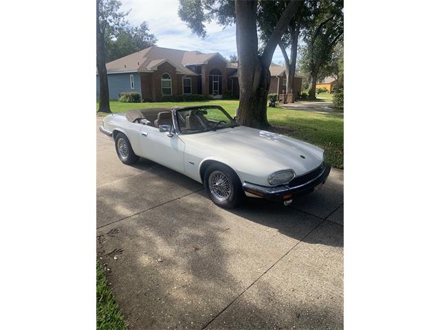 1993 Jaguar XJS (CC-1876384) for sale in Lakeland, Florida