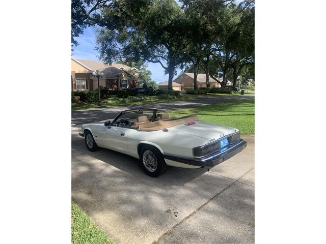 1993 Jaguar XJS (CC-1876384) for sale in Lakeland, Florida