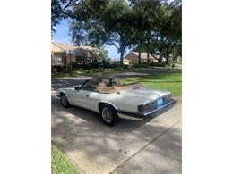 1993 Jaguar XJS (CC-1876384) for sale in Lakeland, Florida