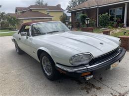1993 Jaguar XJS (CC-1876384) for sale in Lakeland, Florida
