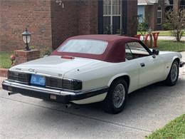1993 Jaguar XJS (CC-1876384) for sale in Lakeland, Florida