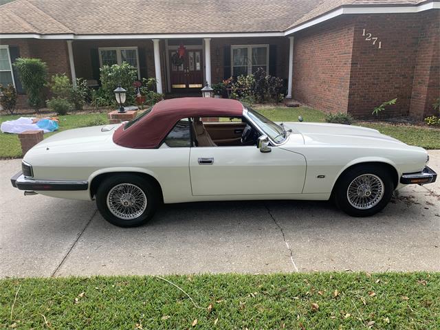 1993 Jaguar XJS (CC-1876384) for sale in Lakeland, Florida