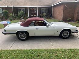 1993 Jaguar XJS (CC-1876384) for sale in Lakeland, Florida