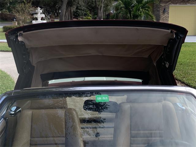 1993 Jaguar XJS (CC-1876384) for sale in Lakeland, Florida