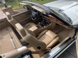1993 Jaguar XJS (CC-1876384) for sale in Lakeland, Florida