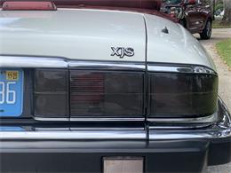1993 Jaguar XJS (CC-1876384) for sale in Lakeland, Florida