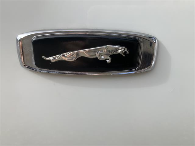 1993 Jaguar XJS (CC-1876384) for sale in Lakeland, Florida