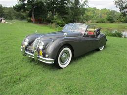 1955 Jaguar XK140 (CC-1876392) for sale in Turnersville, New Jersey