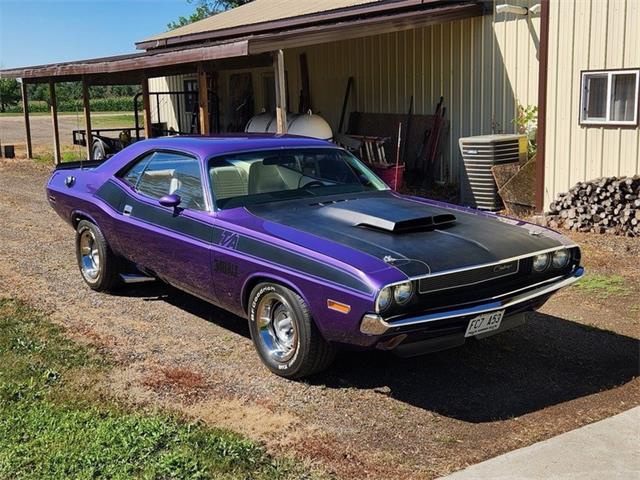 1970 Dodge Challenger T/A (CC-1877027) for sale in Minot, North Dakota