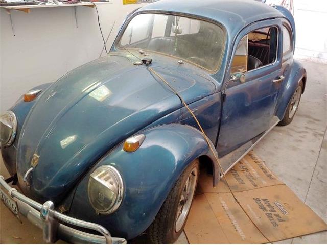 1961 Volkswagen Beetle (CC-1877207) for sale in Cadillac, Michigan