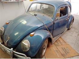 1961 Volkswagen Beetle (CC-1877207) for sale in Cadillac, Michigan