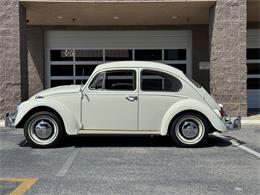 1967 Volkswagen Beetle (CC-1877873) for sale in Henderson, Nevada