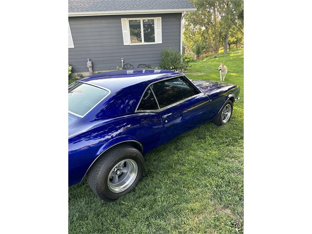 1968 Chevrolet Camaro (CC-1877974) for sale in Billings, Montana
