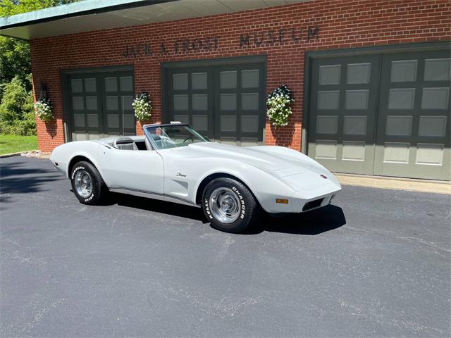 1974 Chevrolet Corvette (CC-1878001) for sale in Washington, Michigan