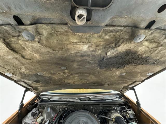 1978 Chevrolet Malibu (CC-1878031) for sale in Morgantown, Pennsylvania