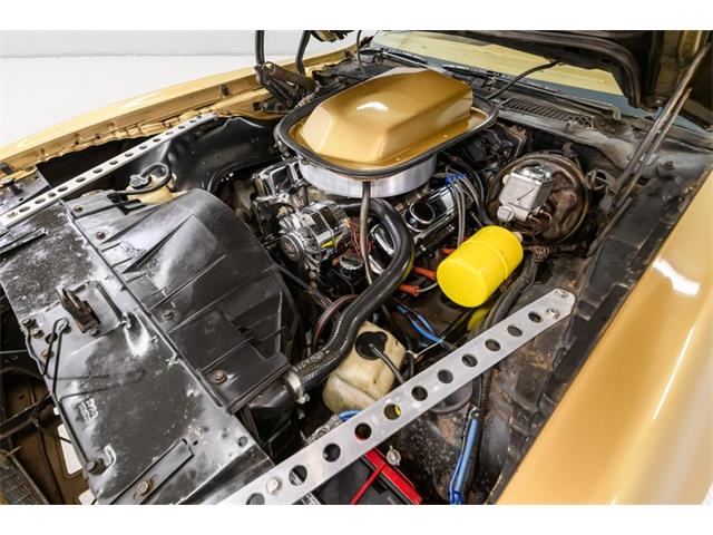 1978 Pontiac Firebird Trans Am (CC-1878064) for sale in Concord, North Carolina