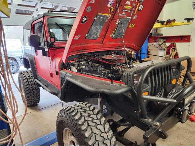 1989 Jeep Wrangler (CC-1878076) for sale in Cadillac, Michigan