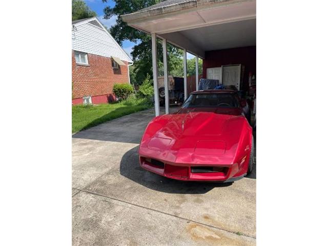 1981 Chevrolet Corvette (CC-1878083) for sale in Cadillac, Michigan