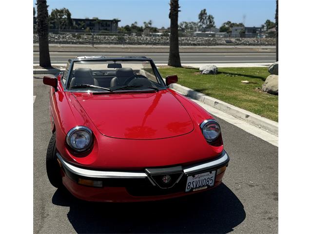 1986 Alfa Romeo Spider Quadrifoglio (CC-1870827) for sale in Long Beach Ca, California